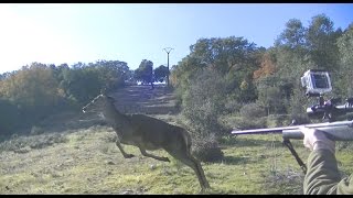 MONTERIAS EN TOLEDO 💥🐗🦌Jabalíes y Ciervas【INCREÍBLE】 [upl. by Annoid]