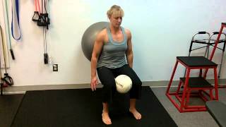 Ball Squat with Adduction [upl. by Emily]