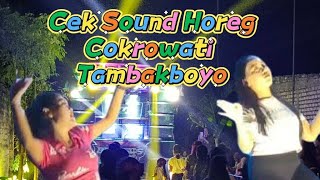 Live Cek Sound Karnaval Cokrowati Tambakboyo [upl. by Airec]