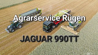 Agrarservice Rügen GPSClaas Jaguar 990 Terra Trac  Fendt  John Deere [upl. by Anaeed672]