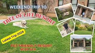 Tree Of Life Resort  Jaipur  Taj Hotels  Delhi NCR weekendtrip staycation luxury [upl. by Puklich]