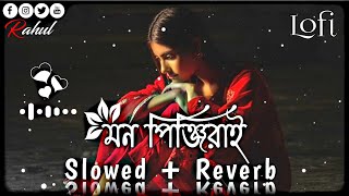 মন পিঞ্জিরায় 💔🥀  Mon Pinjiray Lofi Song  Slowed Reverb Lofi Song  Sad Bangla Song 2023 [upl. by Erlinna]