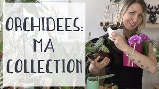 Orchidées  je repars de zéro  Ma collection dorchidées [upl. by Feenah997]