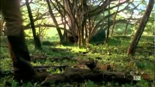 Girl stomping branches for firewood [upl. by Adriane]