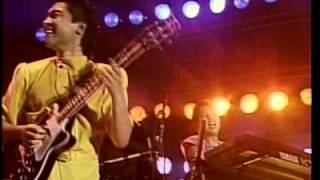 Casiopea  Solid Swing World Live 88 [upl. by Pitts]