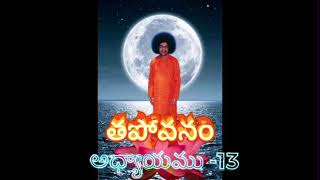 Tapovanam  Chapter 13  తపోవనం  అధ్యాయము 13 [upl. by Hiamerej885]