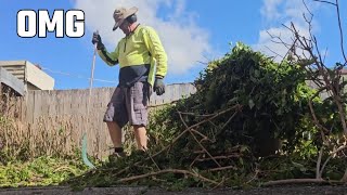 Hedge Trimming DISASTER Turns into Bird Cage Masterpiece [upl. by Kyte]