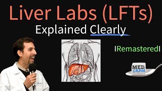 Liver Function Test Interpretation LFTs  Liver Enzymes Remastered Bilirubin GGT Alk Phos [upl. by Gianni]