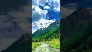 Domail valley Astore ♥️ gilgitbaltistan mountains [upl. by Elmore]