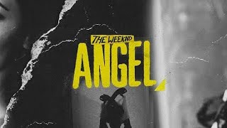 The Weeknd  Angel LegendadoTradução [upl. by Brooking101]