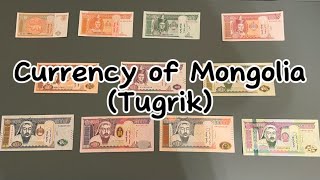 Currency of Mongolia Tugrik [upl. by Eintihw995]