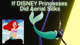 If DISNEY Princesses Did Aerial Silks [upl. by Hallvard46]