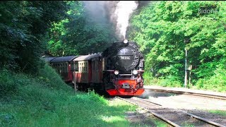 Dampfloks im Harz  HSB  Steam Trains  Züge [upl. by Oiluarb]