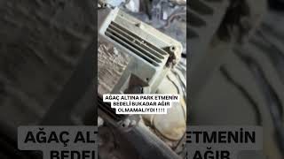 AĞAÇ ALTINA PARK ETMENİN BEDELİ AĞIR OLDU youtubeshorts cars aboneol [upl. by Alket]