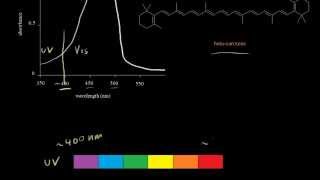 Absorption in the visible region  Spectroscopy  Organic chemistry  Khan Academy [upl. by Obnukotalo]