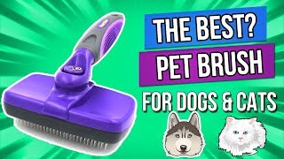 The Best Pet Brush and its Self Cleaning With Nikki the Pomsky [upl. by Alul873]