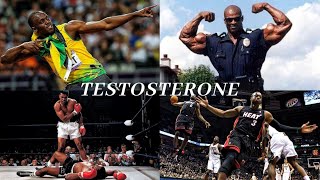 Everything You Need To Know About Testosterone Optimization [upl. by Enimsaj]