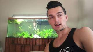 New T5 Grow Plant Bulbs Where to get them 4 cheap [upl. by Jeconiah]