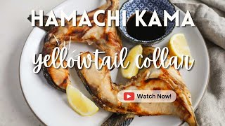 The BEST Hamachi Kama Recipe Tutorial [upl. by Yltsew]