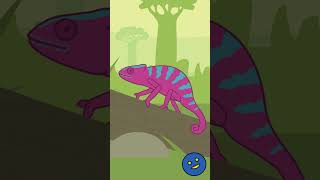 Chameleon Song Short  Fun Educational Animal Song for Kids │ Smiley Rhymes [upl. by Lidda]