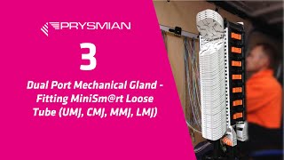 3 Dual Port Mechanical Gland  fitting to joints UMJ CMJ MMJ and LMJ using SMRTCORE Cable [upl. by Herbert]