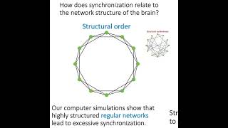 The network science of neural brain synchronization [upl. by Nuahsyt]