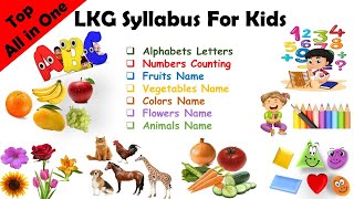 Preschool Complete Course Learn ABCs Colors 123s Phonics Counting Numbers Animals Birds etc [upl. by Juta86]