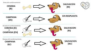 Condicionamiento clásico y operante  MC Sharis Licona [upl. by Aloiv]