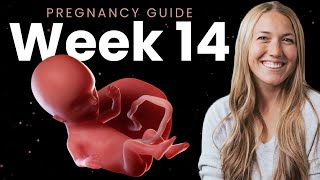 14 Weeks Pregnant  Week By Week Pregnancy [upl. by Armahs]