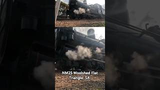 Yx141 hissing steam at Woolshed Flat Triangle GoPro shorts seb trains train steamtrains fyp [upl. by Hussar936]