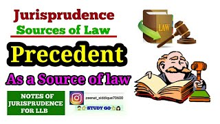 PRECEDENT IN JURISPRUDENCE IN HINDI  DEFINITION OF PRECEDENT  PRECEDENT AS A SOURCE OF LAW [upl. by Annayt]