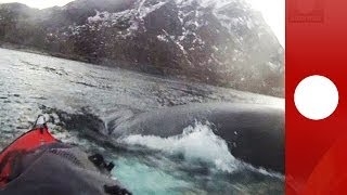 Close encounter Norwegian kayaker escapes 20ton humpback whale [upl. by Silas]