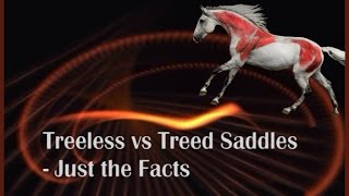 Treeless vs Treed Saddles  Just the Facts by Saddlefit 4 Life® [upl. by Gnoix]