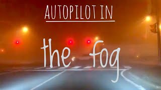 AutoPilot in the FOG [upl. by Belac]