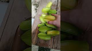 Balimbing fruits mga napitas nila 🤣asmr ytshorts [upl. by Enelram307]