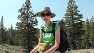 Sierra Hiking Ebbetts Pass [upl. by Eversole335]