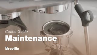 The Barista Express®  How to perform a cleaning cycle on your espresso machine  Breville AU [upl. by Acirretahs]