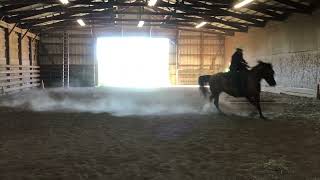 RayLena Bevington amp Katori Dunit Slick Ranch Riding August [upl. by Delaryd]