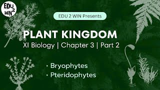 Plant kingdom  Class 11 Biology  Chapter 3 Part 2 [upl. by Inaniel]