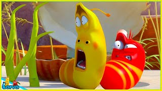 Larva Animation New Episodes 2024  Scared  Best Cartoons 2024  Comics  Cartoon Compilation [upl. by Hattie166]