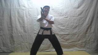 How to Nunchuck 1 Nunchaku [upl. by Assirolc557]