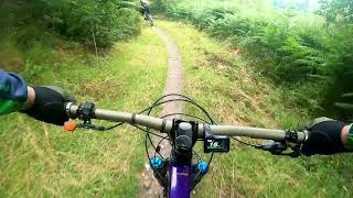 Mabie Forest E Bikes Rule 2024 [upl. by Lundquist]