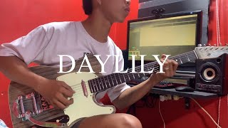 Daylily  Movements  guitar cover [upl. by Aicekan]