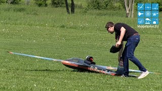 PULS PARITECH RC IMPELLER AEROBATIC FLIGHT ALEXANDER SCHIEGG MULTIPLEX AIRSHOW BRUCHSAL 2017 [upl. by Byron]