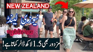 Travel To New Zealand  History Documentary in Urdu amp Hindi  Spider Tv  New Zealand Ki Sair [upl. by Carrelli427]