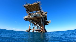 PANGA RUN Gulf of Mexico Offshore platform fishing [upl. by Merlin]