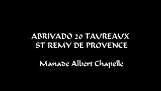 Abrivado 20 Taureaux St Remy De Provence 17082014 [upl. by Enirak]