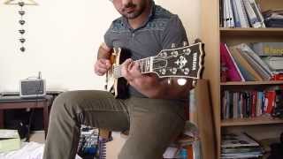 Steely Dan Do It Again Guitar Solo feat Ravish Sitar Pedal [upl. by Atterrol]