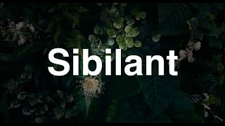 Sibilant  English Word  Meaning  Examples [upl. by Nailij437]