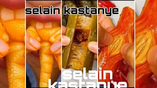 selai kastanye part 1tik tok Indonesia Bahasa Indonesia [upl. by Akima945]